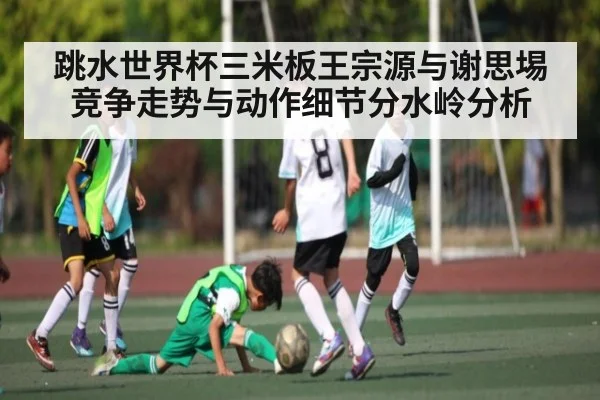 跳水世界杯三米板王宗源与谢思埸竞争走势与动作细节分水岭分析